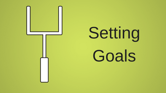 Setting Goals