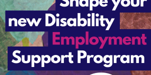 Shape you new Disability Employment Support Program