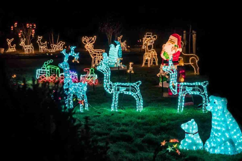 Christmas lights
